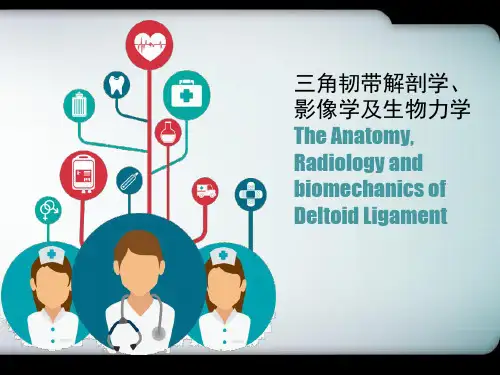 三角韧带解剖学、影像学及生物力学 PPT