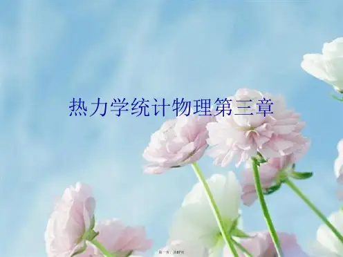 热力学统计物理第三章