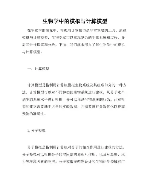生物学中的模拟与计算模型