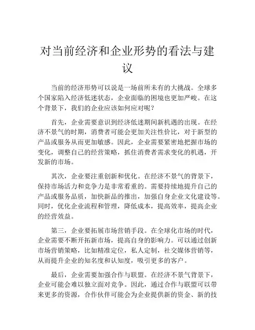 对当前经济和企业形势的看法与建议