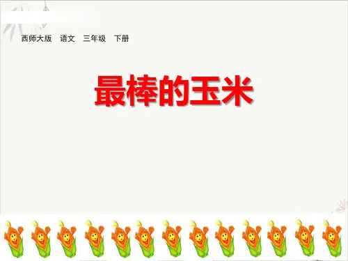 最棒的玉米ppt课件(完美版)