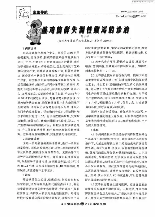 蛋鸡菌群失调性腹泻的诊治