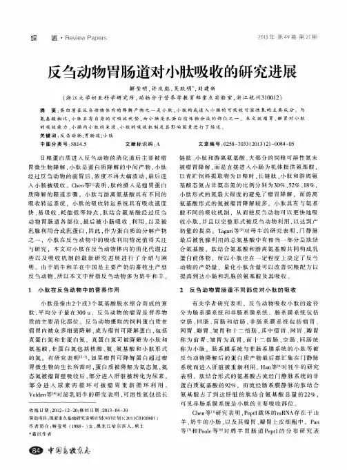 反刍动物胃肠道对小肽吸收的研究进展