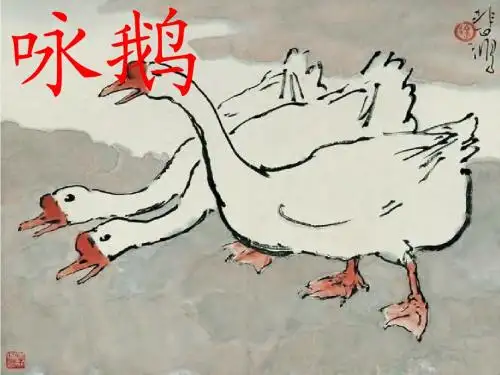 13 白鹅