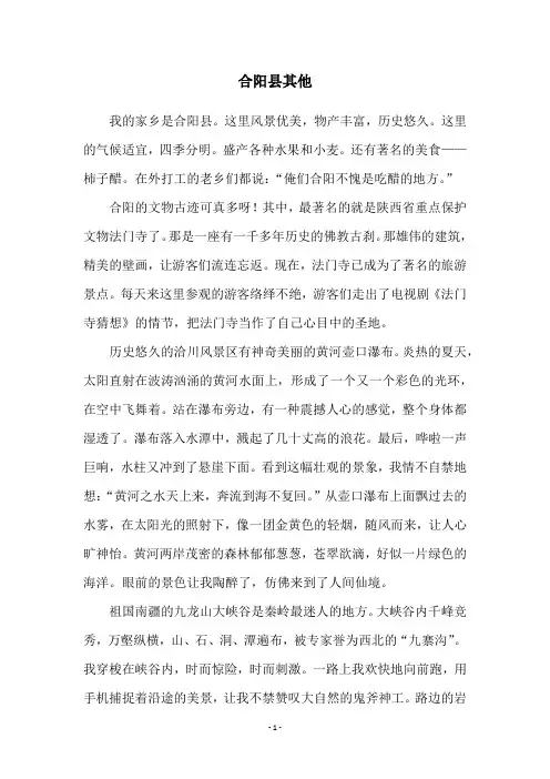 合阳县其他
