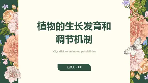 植物的生长发育和调节机制