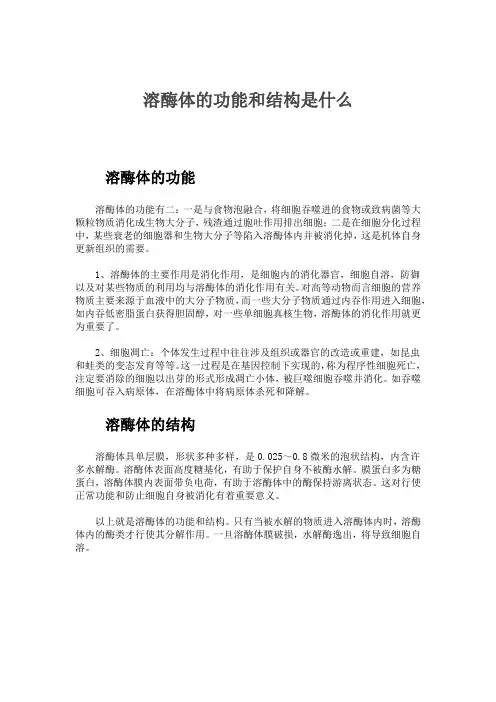 溶酶体的结构成分和功能特征