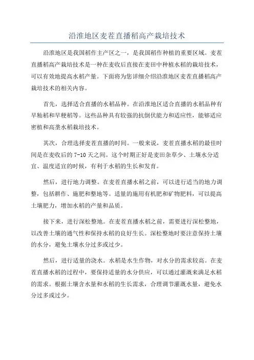 沿淮地区麦茬直播稻高产栽培技术