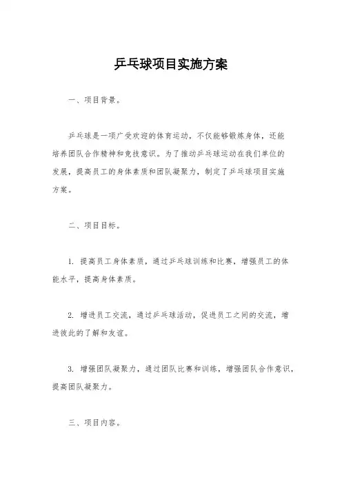 乒乓球项目实施方案