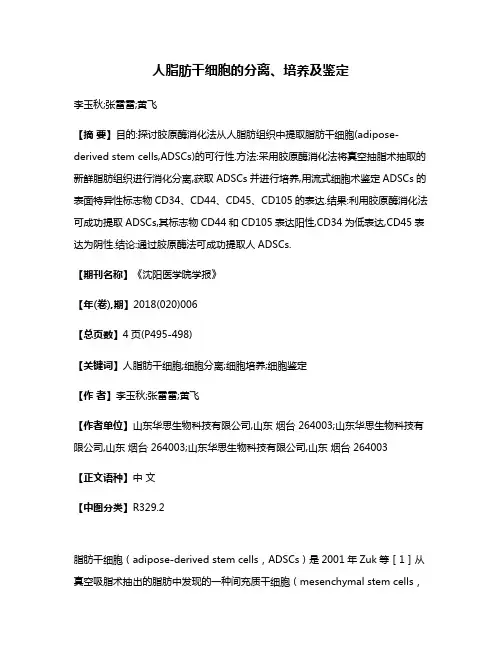 人脂肪干细胞的分离、培养及鉴定