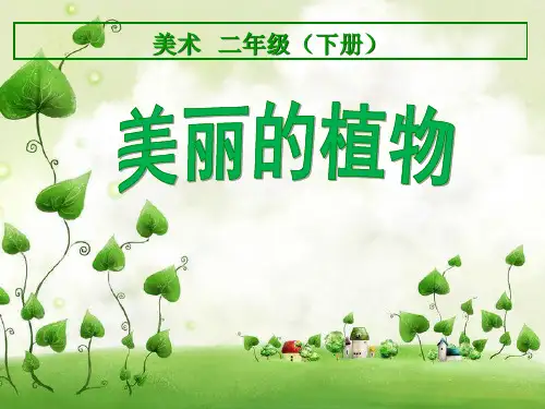 二年级下册美术《1.美丽的植物》 人美版