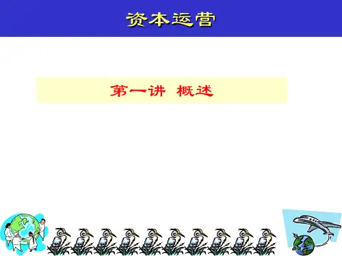 资本运营讲稿(一)
