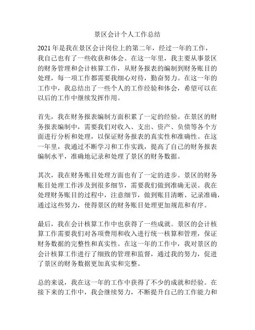 景区会计个人工作总结