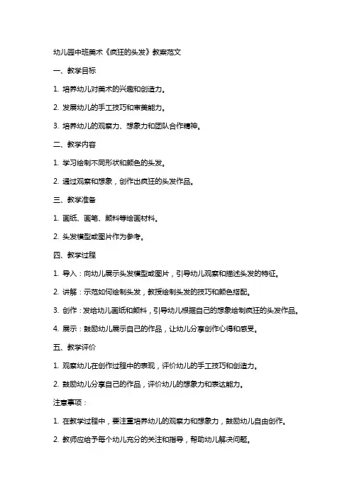 幼儿园中班美术《疯狂的头发》教案范文