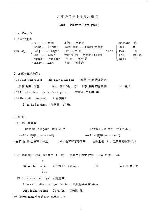 (word完整版)pep六年级英语下册复习资料(整理).docx