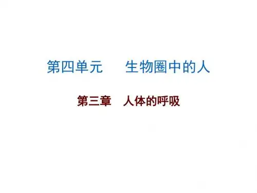 广东中考总复习初中生物中考复习课件 第4单元第三章