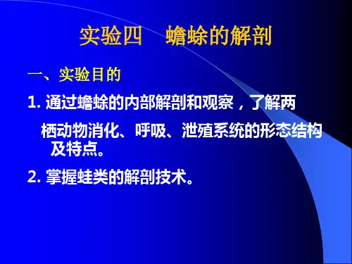 4-实验四 蟾蜍的外形观察及解剖