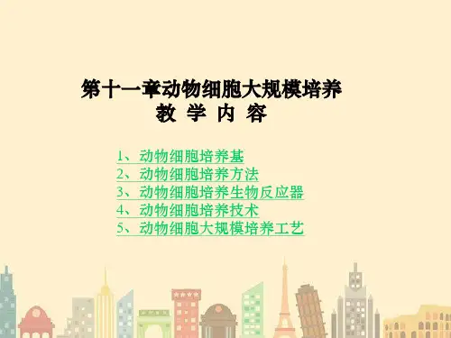 动物细胞大规模培养