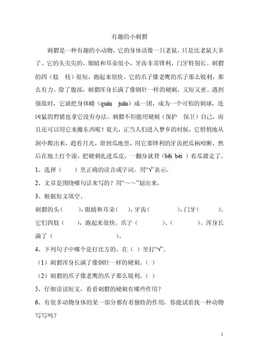 有趣的小刺猬