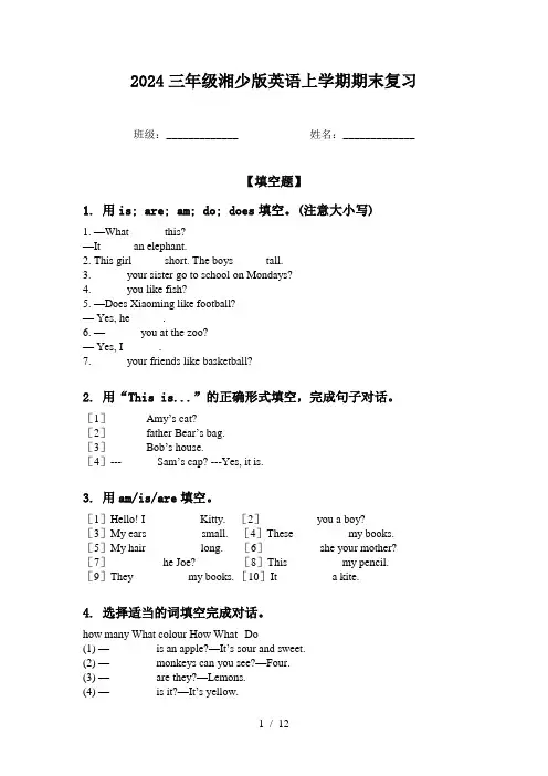 2024三年级湘少版英语上学期期末复习