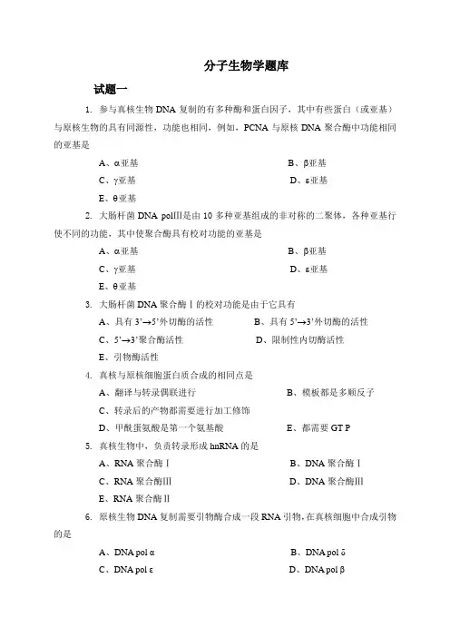 分子生物学期末试题