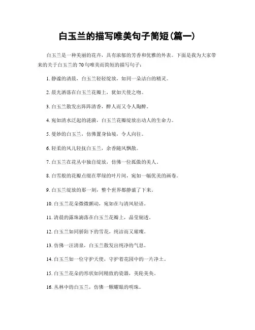 白玉兰的描写唯美句子简短(精选两篇)