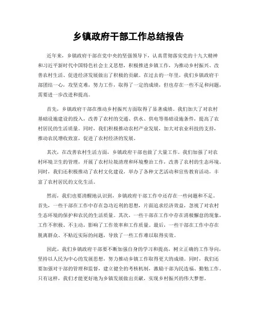 乡镇政府干部工作总结报告