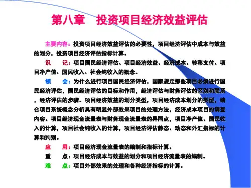 8投资项目经济效益评估.ppt