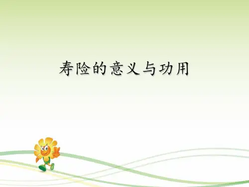 寿险的意义PPT课件