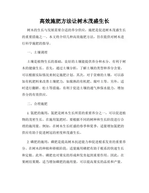 高效施肥方法让树木茂盛生长