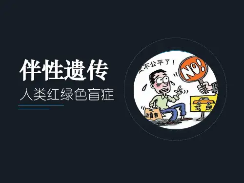 伴性遗传之人类红绿色盲.