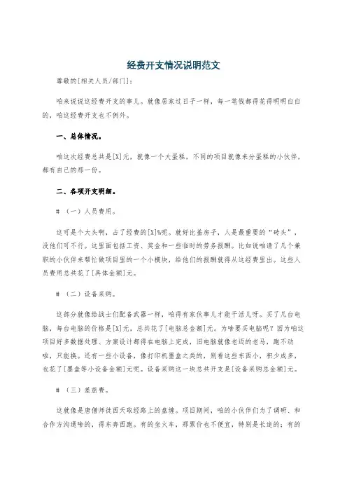 经费开支情况说明范文