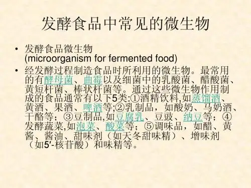 微生物与食品发酵