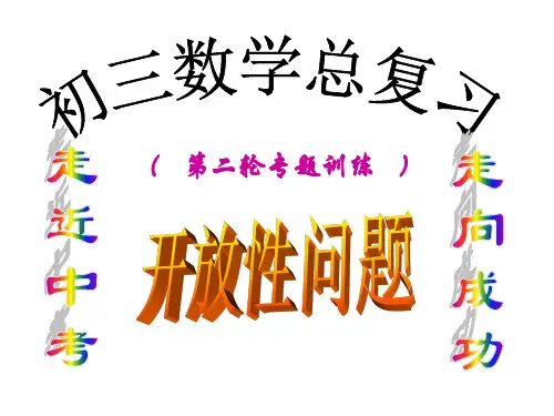初中数学专题复习开放性题