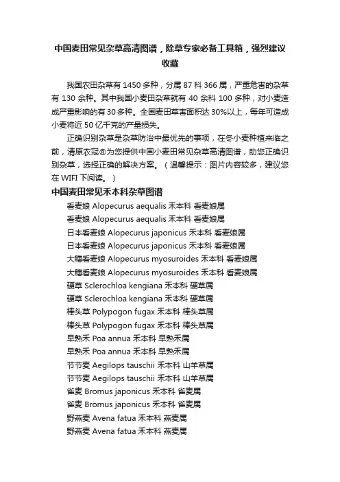 中国麦田常见杂草高清图谱，除草专家必备工具箱，强烈建议收藏