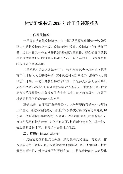 20232023年村党组织书记述职报告