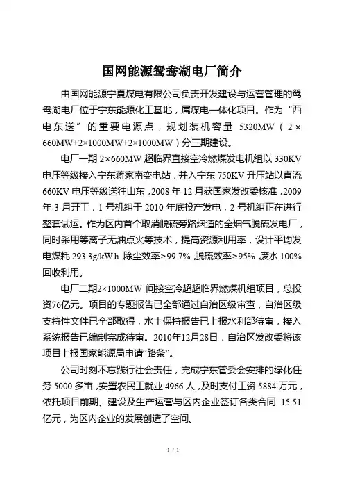 国网能源鸳鸯湖电厂简介