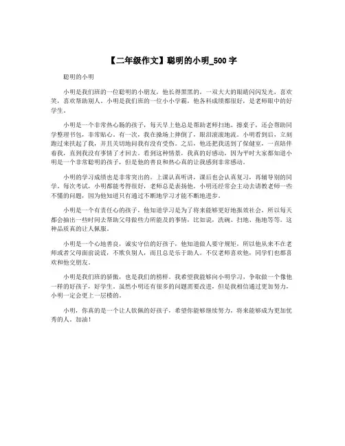 【二年级作文】聪明的小明_500字