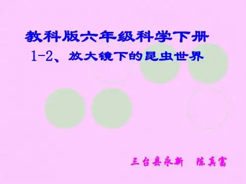 教科版六年级科学下册1-2、放大镜下的昆虫世界