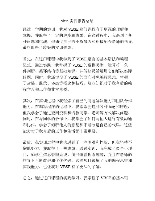 vbse实训报告总结