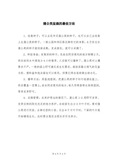 蒲公英盆栽的最佳方法