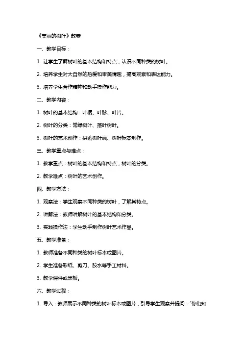 《美丽的树叶》教案