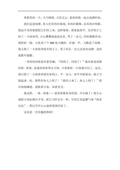 周记400字寒假趣事钓鱼