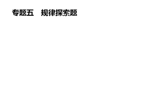 中考一轮复习--专题五 规律探索题