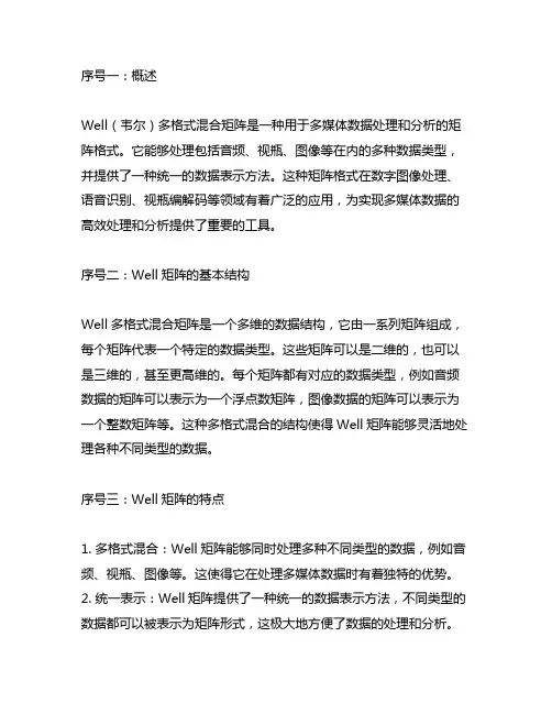 well(韦尔)多格式混合矩阵