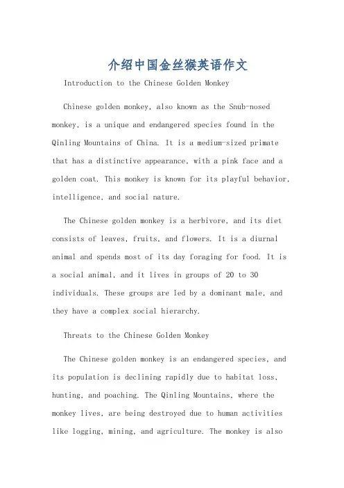 介绍中国金丝猴英语作文