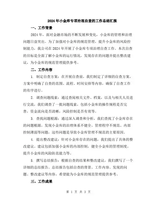 2024年小金库专项治理自查的工作总结汇报