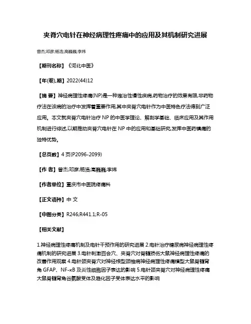 夹脊穴电针在神经病理性疼痛中的应用及其机制研究进展