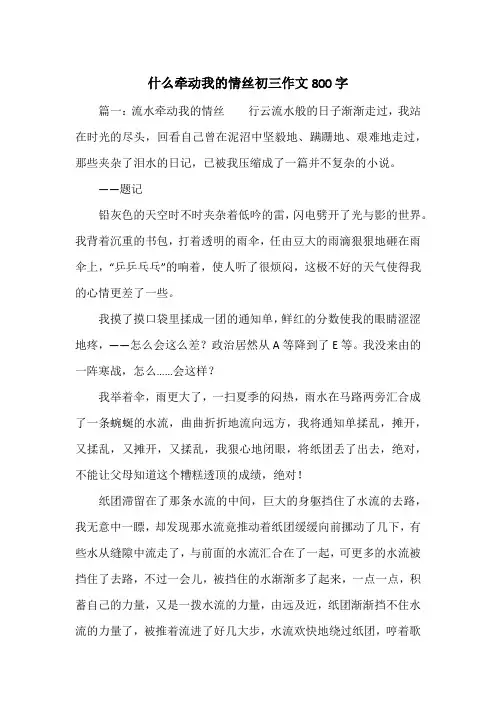 《什么牵动我的情丝初三作文800字》初中三年级作文