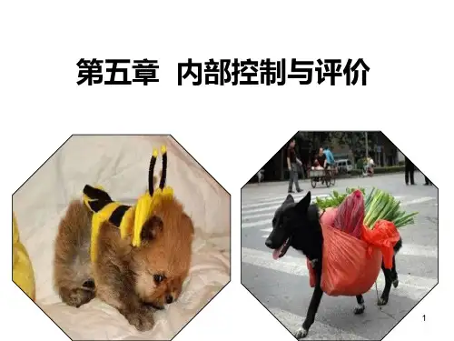 第章内部控制与评价PPT课件
